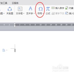 WPS文字 设置常用符号