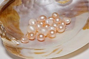 怎样区分海水珍珠与淡水珍珠 