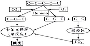 光合作用中CO2减少，C5会减少，可是C3的合成会增加，那么生成的C5也会增加啊。那怎么知道C5是增加还是减少