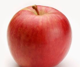 苹果是热性还是凉性,苹果和梨的道理是什么