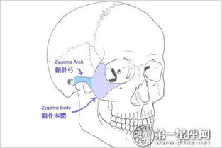 大富大贵天注定 哪些骨相代表着有富贵命 