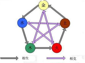 五行人格的应用价值 