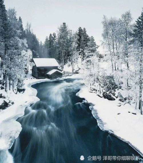 性格测试 选一出你喜欢的雪景,测测你是哪种音乐类型的人