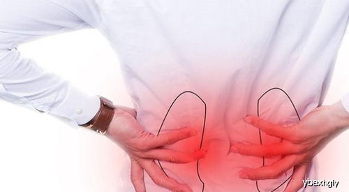 已婚男性肾痛和腰背痛如何区分 分清疼痛位置和方式,别怀疑自己