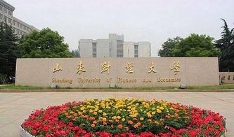 山东财经大学查重系统技术支持