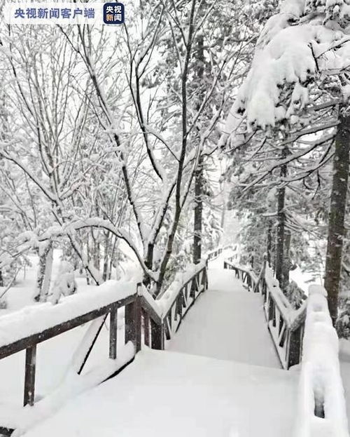 你的城市多少度 今天的这里却下雪了