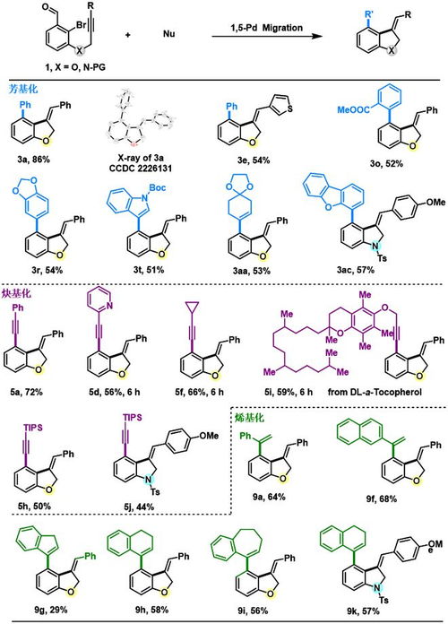 炔烃桥联C H键活化 1,5 钯迁移策略构建苯并二氢呋喃和苯并吲哚啉类化合物