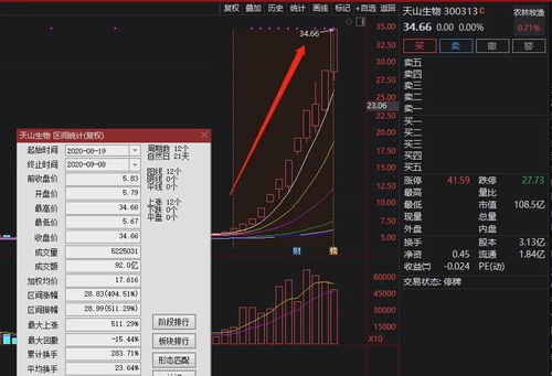 股票 目前那只股票是连年亏损