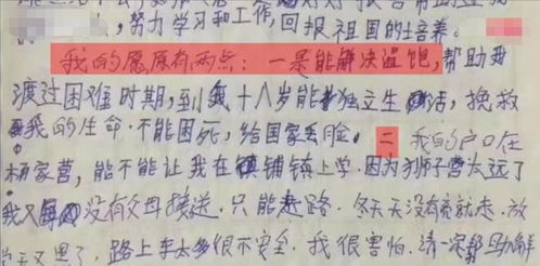 汉中10岁男童父死母改嫁,被母送人又被送回,没钱吃饭写信求助