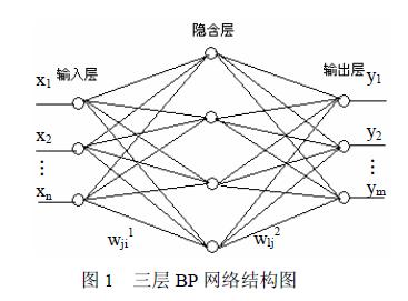 BP网络就是BP神经网络吗？