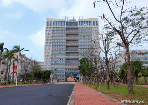 沙坪坝一共有哪些大学