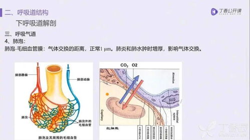 食道上皮结构图 搜狗图片搜索