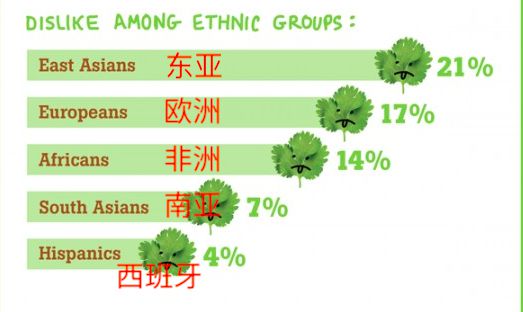 香菜基因冷知识(爱吃香菜的基因)