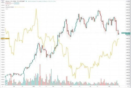 xct币最新价格,act币价格今日行情美元