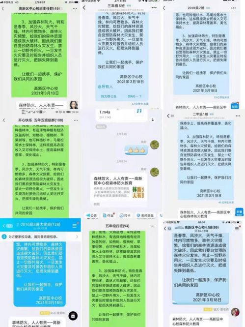 毕业论文,森林防火,系统