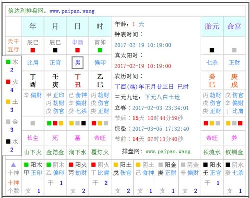 2017年2月19号10点19分出生的生辰八字 