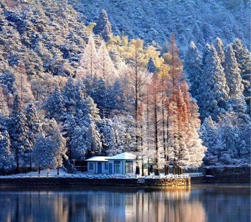 美出天际 南国雪景何处寻,尽在冬日庐山