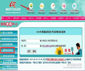 全国招生网查询入口 高考投档状态在哪里查询