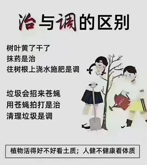 治 与 调 的区别