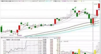 开盘前输入涨停价格都没有买到~开盘的价格不是涨停价开盘后撤不掉怎么回事