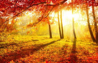 关于秋天的颜色的诗句