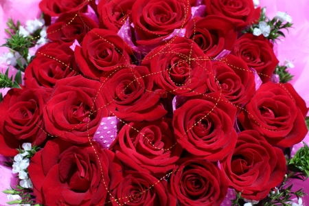 送红玫瑰真的可以俘获女人心吗 