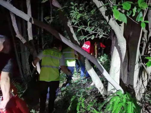 警惕 宁波60岁老人从树上摔下来致高位截瘫,又是为了它
