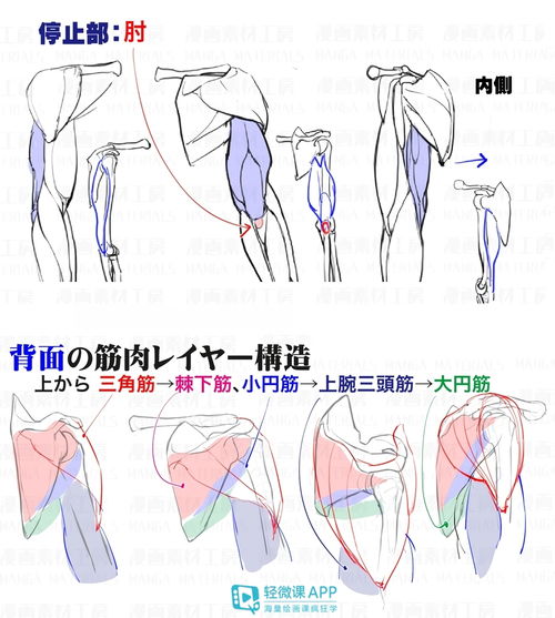 身体各部位图片卡通 搜狗图片搜索