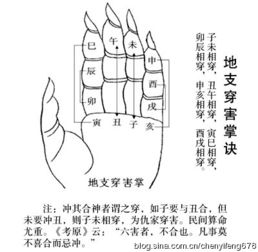 陈益峰 风水地支知识汇总