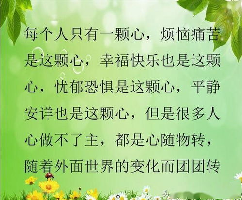 生活贵在舒心,人生贵在淡心