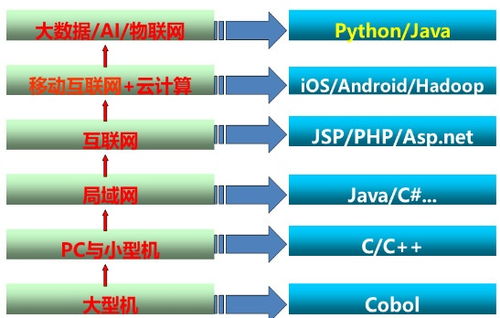 计算机相关专业学生就业与发展方向解析