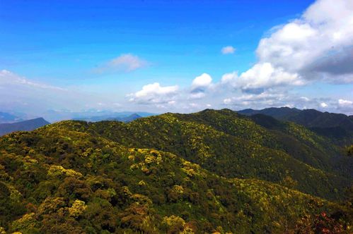 正在公示 南涧县拟命名 国家生态文明建设示范区