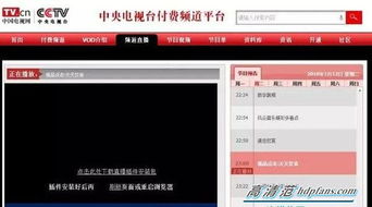 CCTV与CNTV曝分手内幕 央视官网上线