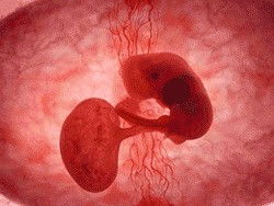 原创怀孕8到10周容易发生胎停有三大原因，胚胎质量不好是最大因素