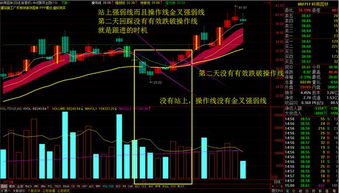 股票的价值是如何理解？