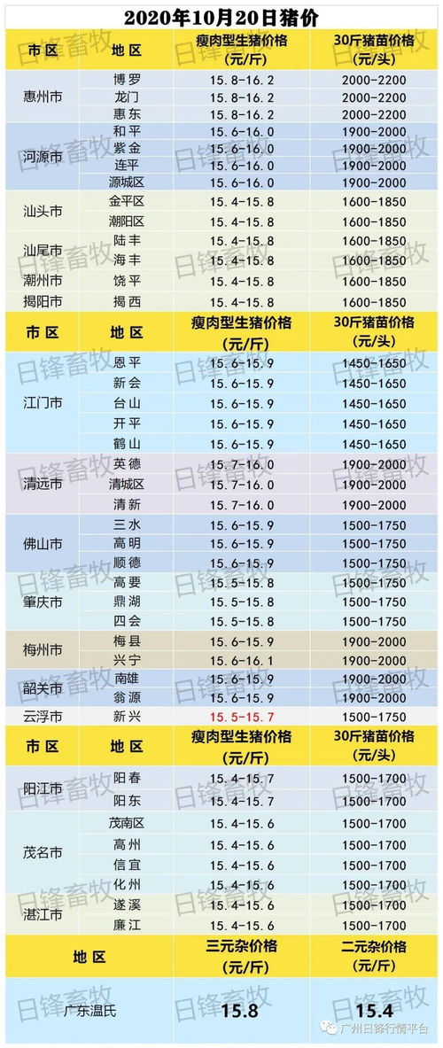 2020年10月广州GMAT考试安排,gmat每年考试时间表