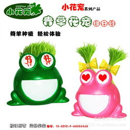 小花宠创意QQ旺旺表情周边产品青草种植桌面摆设娃娃陶瓷产品