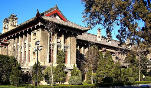 河南大学哪些学科