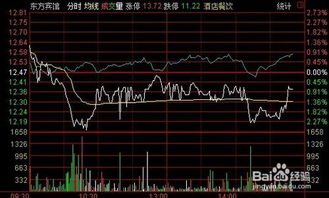 如何能把通达信分时主图高低点画线公式装上去，重谢