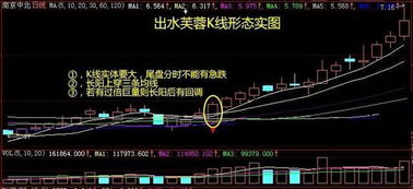 股票下跌引起反弹或超跌反弹的原因是什么？