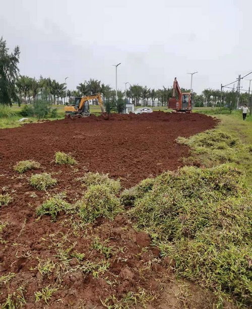 试验田 已播种草籽80亩 美兰区推进农村裸露土地示范村种草绿化行动