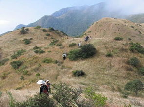 深圳坝光村风景区旅游攻略