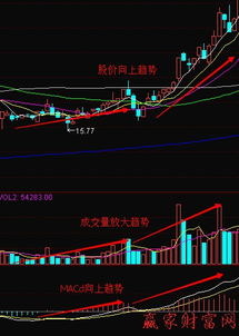 成交量小却能使股票价格震动很大说明了什么?