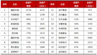 总资产最多的企业是那家企业？总资产有多少？