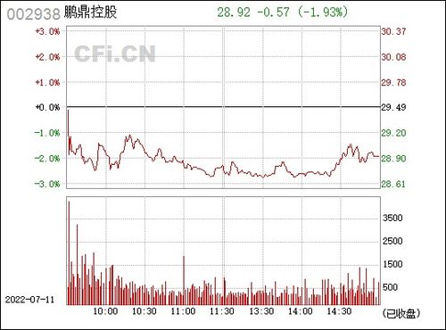 鹏鼎控股公司简介