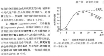 对数在实际生活中有哪些应用？