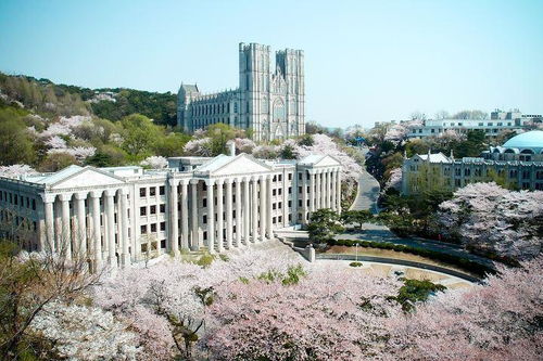 韩国清州大学哪些专业好 韩国留学生活怎么样