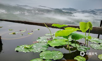 仙境 安徽歙县坡山村雨后美景如诗如画 