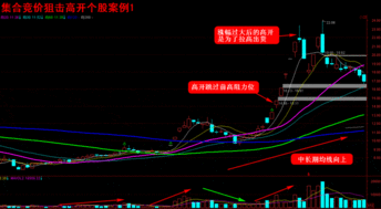 竞价交易阶段先是涨停再下跌一点点说明什么