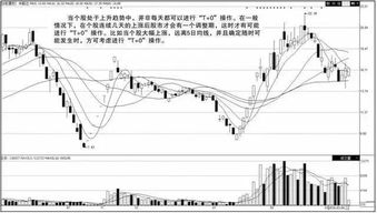 股票的筹码区套牢筹码多了好还是少了好？